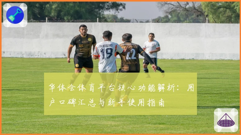 华体会体育平台核心功能解析：用户口碑汇总与新手使用指南